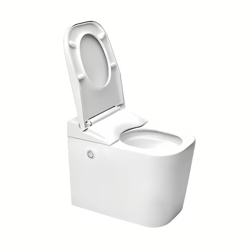 Miska WC Stojąca SAT optimflush w kolorze białym ze zbiornikiem i naściennym przyciskiem spłukującym.