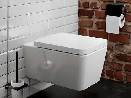 Ścienna SZCZOTKA do Wc hansgrohe addstoris w matowej czerni z uchwytem z metalu i szkła