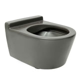 Miska WC Wisząca Roca Inspira w matowym kolorze onyks z bezkołnierzową miską Rimless i ukrytym mocowaniem.