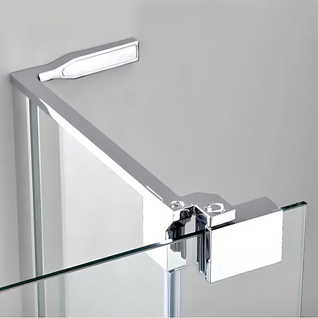 Roth Elegant Neo Line bezramowe drzwi prysznicowe 120 cm w błyszczącym chromie z przezroczystym szkłem