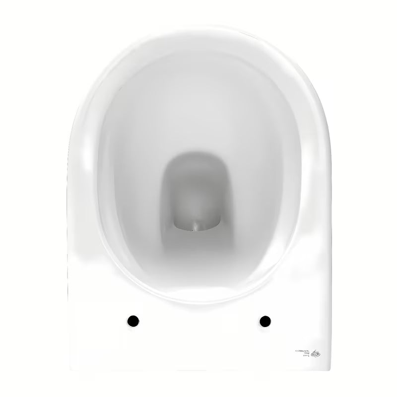 Miska WC Wisząca SAT Brevis w kolorze białym, z ukrytym mocowaniem i deską soft Close.
