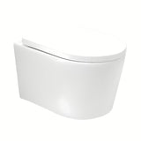 Miska WC Wisząca SAT Brevis w białym kolorze z deską soft Close i z ukrytym mocowaniem.