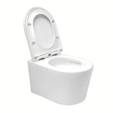 Miska WC Wisząca SAT Brevis w białym kolorze z deską soft Close i z ukrytym mocowaniem.
