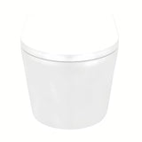 Miska WC Wisząca SAT Brevis w białym kolorze z deską soft Close i z ukrytym mocowaniem.