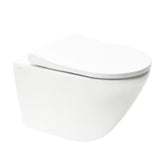 Zestaw WC podtynkowy vitra Integra z modułem instalacyjnym, spłuczką SAT i deską soft Close w kolorze białym.