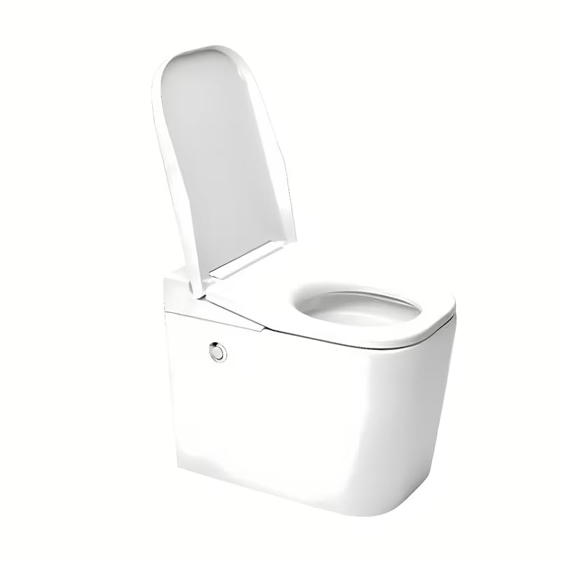 Miska WC Stojąca SAT optimflush w kolorze białym ze zbiornikiem i naściennym przyciskiem spłukującym.